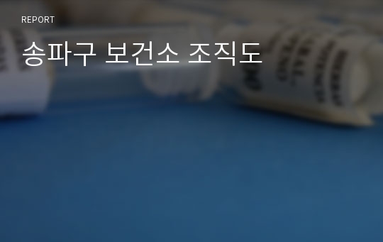 송파구 보건소 조직도