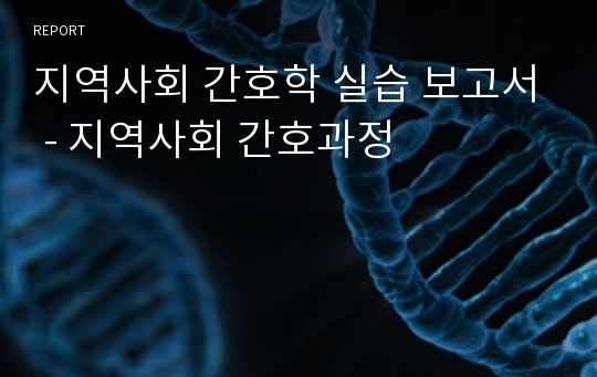 지역사회 간호학 실습 보고서 - 지역사회 간호과정