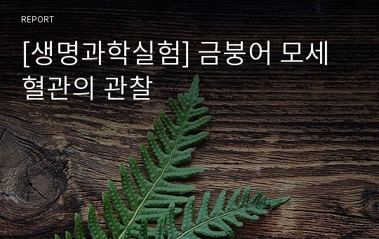 [생명과학실험] 금붕어 모세 혈관의 관찰