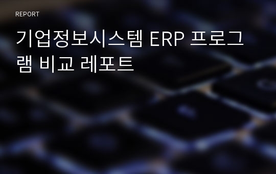 기업정보시스템 ERP 프로그램 비교 레포트