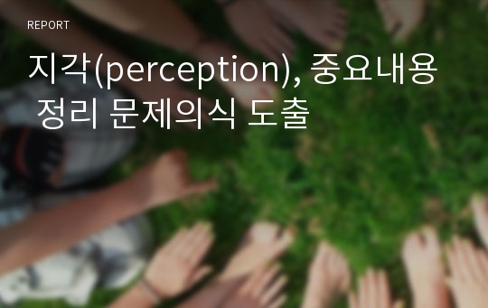 지각(perception), 중요내용 정리 문제의식 도출