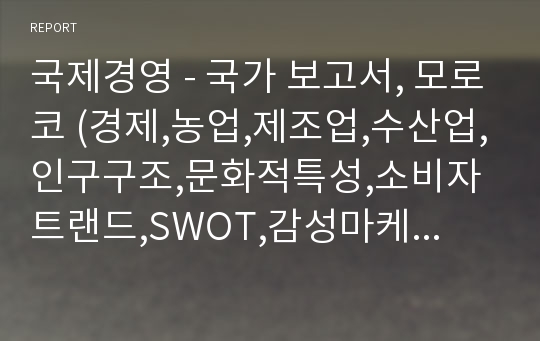 국제경영 - 국가 보고서, 모로코 (경제,농업,제조업,수산업,인구구조,문화적특성,소비자트랜드,SWOT,감성마케팅,글로벌브랜드 등 분석)