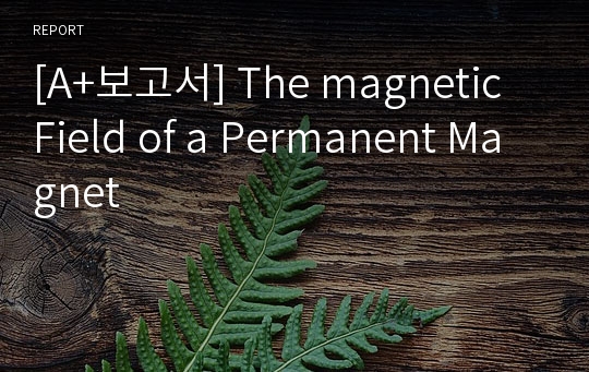 [A+보고서] The magnetic Field of a Permanent Magnet