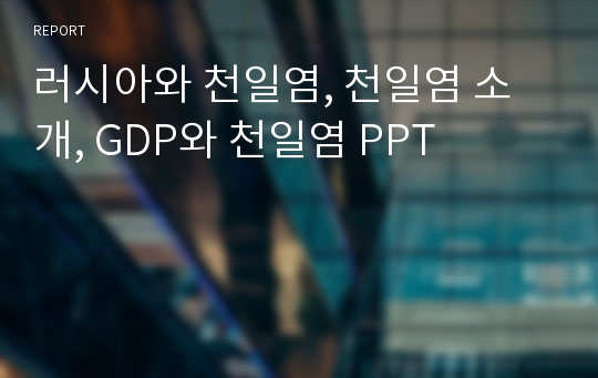 러시아와 천일염, 천일염 소개, GDP와 천일염 PPT