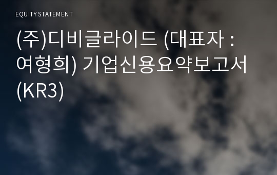 (주)디비글라이드 기업신용요약보고서 (KR3)