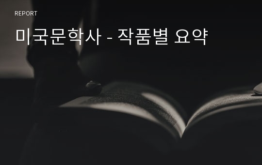 미국문학사 - 작품별 요약