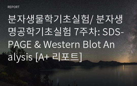 분자생물학기초실험/ 분자생명공학기초실험 7주차: SDS-PAGE &amp; Western Blot Analysis [A+ 리포트]