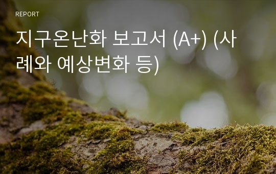 지구온난화 보고서 (A+) (사례와 예상변화 등)