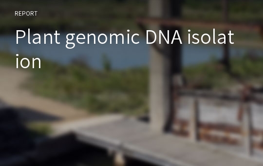 Plant genomic DNA isolation