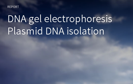 DNA gel electrophoresis Plasmid DNA isolation