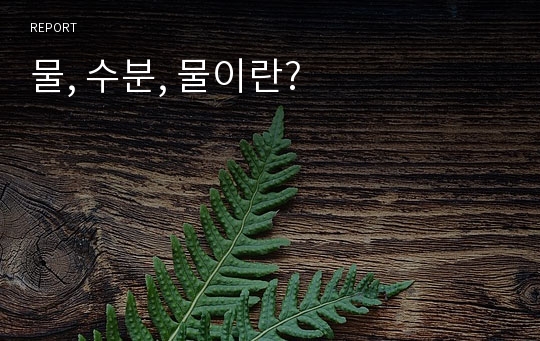 물, 수분, 물이란?