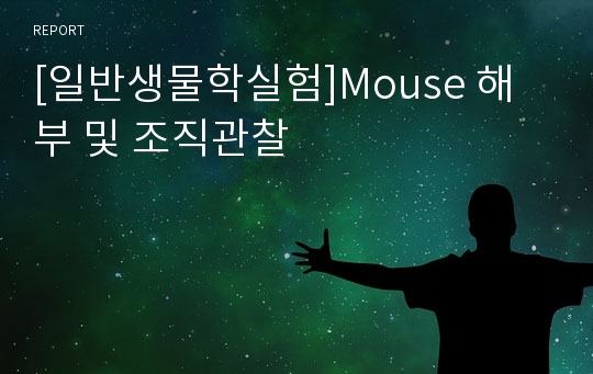 [일반생물학실험]Mouse 해부 및 조직관찰