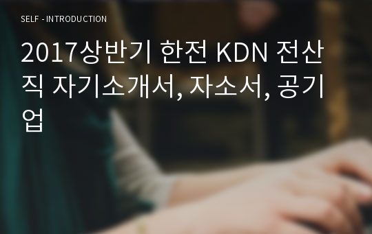 2017상반기 한전 KDN 전산직 자기소개서