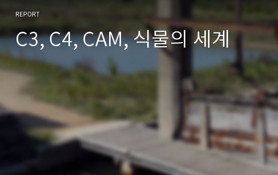 C3, C4, CAM, 식물의 세계