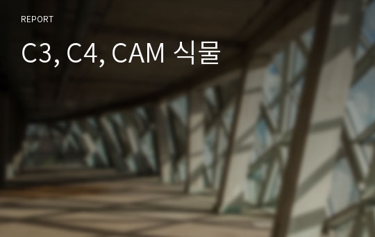 C3, C4, CAM 식물