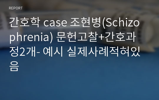 간호학 case 조현병(Schizophrenia) 문헌고찰+간호과정2개- 예시 실제사례적혀있음