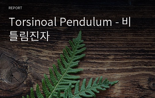 Torsinoal Pendulum - 비틀림진자