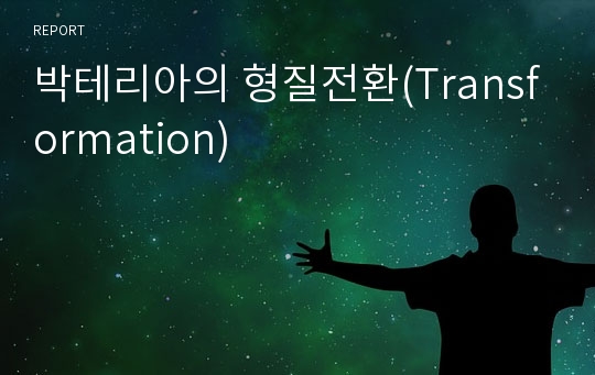 박테리아의 형질전환(Transformation)