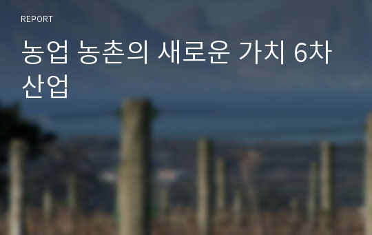 농업 농촌의 새로운 가치 6차산업 리포트(레포트)