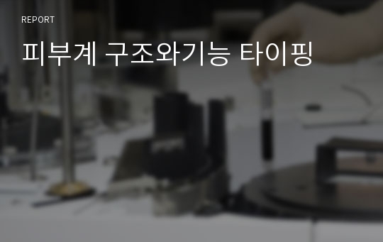 피부계 구조와기능 타이핑