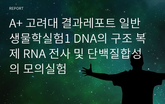 A+ 고려대 결과레포트 일반생물학실험1 DNA의 구조 복제 RNA 전사 및 단백질합성의 모의실험