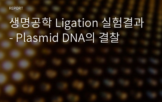 생명공학 Ligation 실험결과 - Plasmid DNA의 결찰 