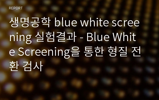 생명공학 blue white screening 실험결과 - Blue White Screening을 통한 형질 전환 검사 