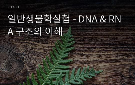 [일반생물학실험] DNA &amp; RNA 구조의 이해