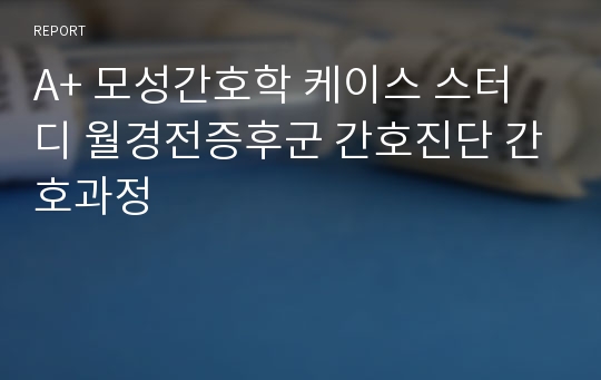 A+ 모성간호학 케이스 스터디 월경전증후군 간호진단 간호과정