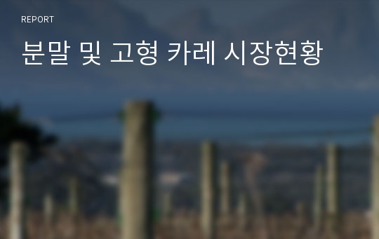 분말 및 고형 카레 시장현황