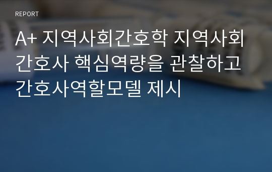 A+ 지역사회간호학 지역사회간호사 핵심역량을 관찰하고 간호사역할모델 제시