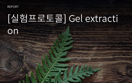 [실험프로토콜] Gel extraction