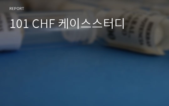 101 CHF 케이스스터디