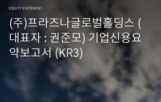 (주)프라즈나글로벌홀딩스 기업신용요약보고서 (KR3)