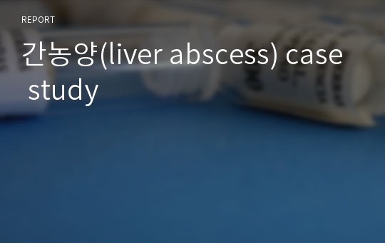 간농양(liver abscess) case study