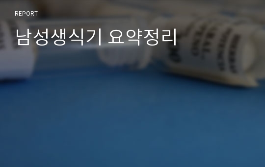 남성생식기 요약정리