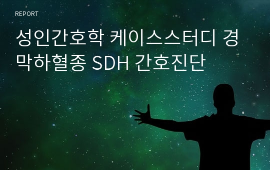 성인간호학 케이스스터디 경막하혈종 SDH 간호진단