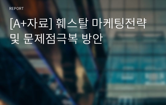 [A+자료] 훼스탈 마케팅전략 및 문제점극복 방안