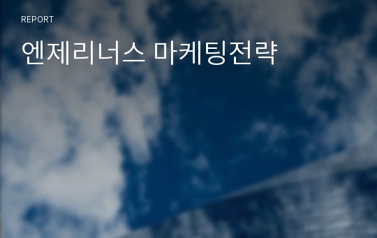 엔제리너스 마케팅전략