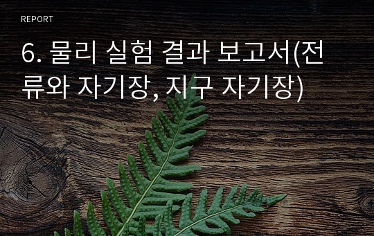 6. 물리 실험 결과 보고서(전류와 자기장, 지구 자기장)