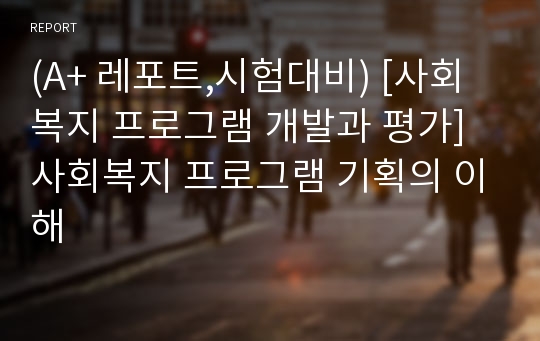 (A+ 레포트,시험대비) [사회복지 프로그램 개발과 평가] 사회복지 프로그램 기획의 이해