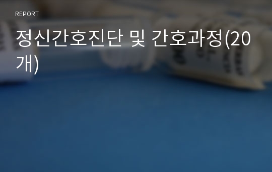 정신간호진단 및 간호과정(20개)