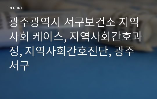 광주광역시 서구보건소 지역사회 케이스, 지역사회간호과정, 지역사회간호진단, 광주서구