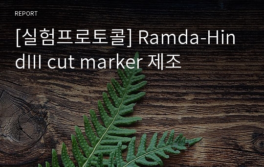 [실험프로토콜] Ramda-HindIII cut marker 제조