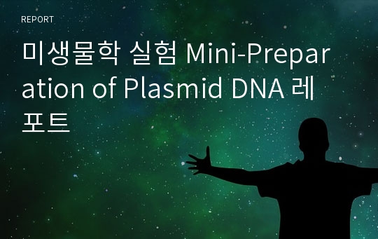 미생물학 실험 Mini-Preparation of Plasmid DNA 레포트