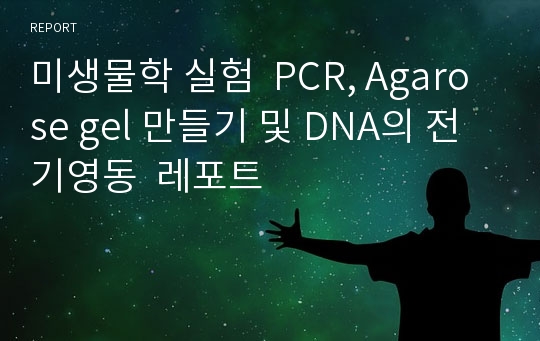 미생물학 실험  PCR, Agarose gel 만들기 및 DNA의 전기영동  레포트