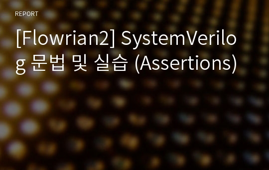 [Flowrian2] SystemVerilog 문법 및 실습 (Assertions)