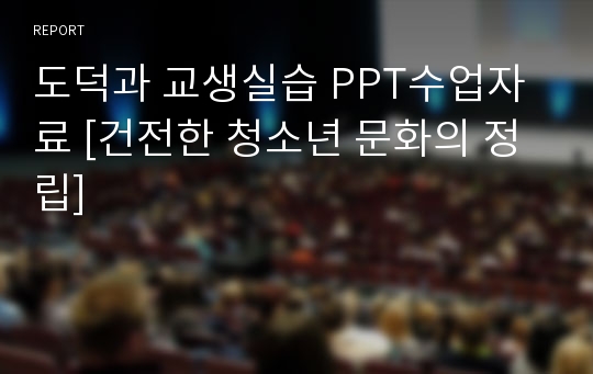 도덕과 교생실습 PPT수업자료 [건전한 청소년 문화의 정립]