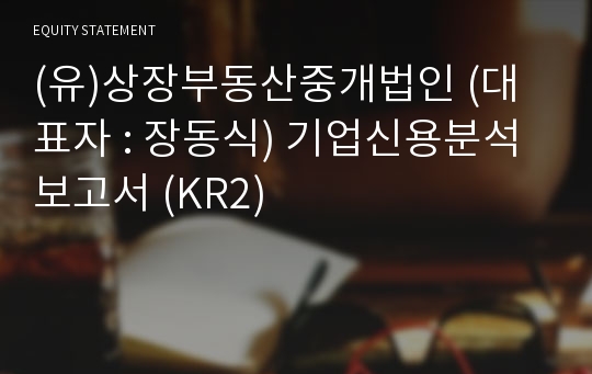 (유)상장부동산중개법인 기업신용분석보고서 (KR2)