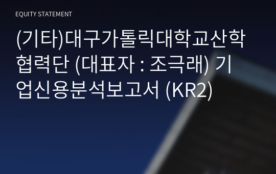 (기타)대구가톨릭대학교산학협력단 기업신용분석보고서 (KR2)